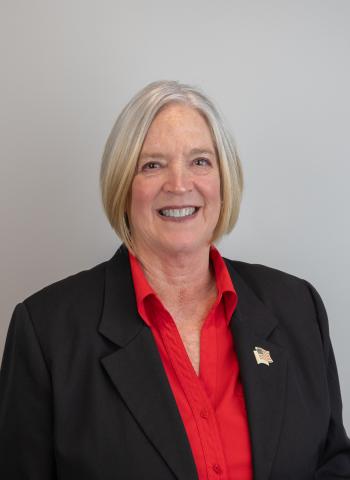 The deSatnick Real Estate Team